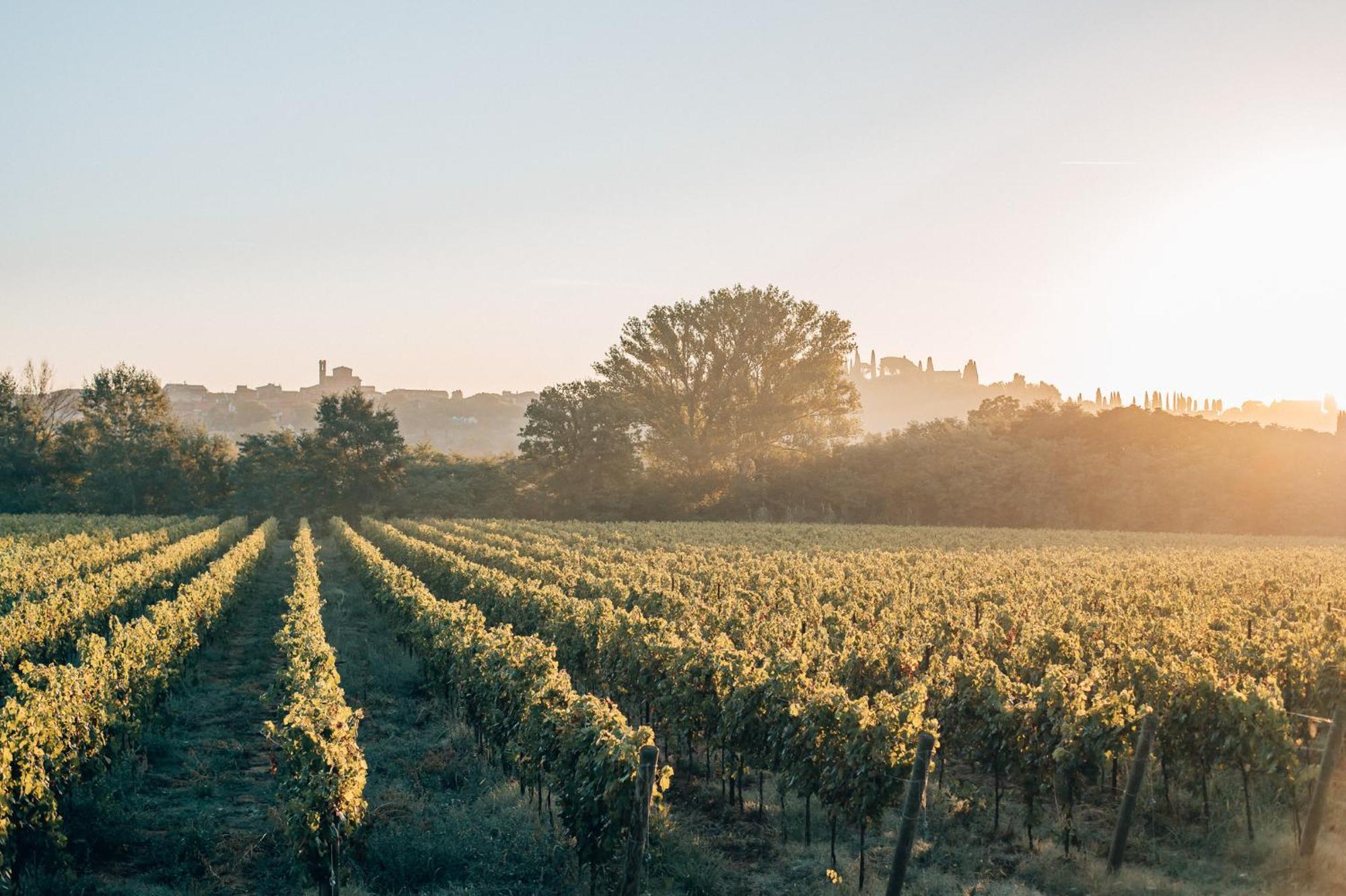 Borgo San Vincenzo Hotel Montepulciano Luaran gambar